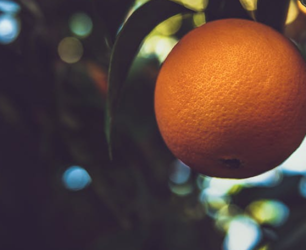 Improves Digestion: The Gut-Friendly Choice